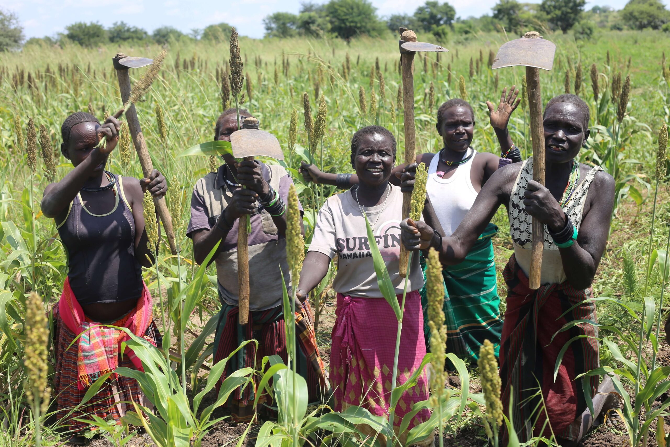 Farmers in the field